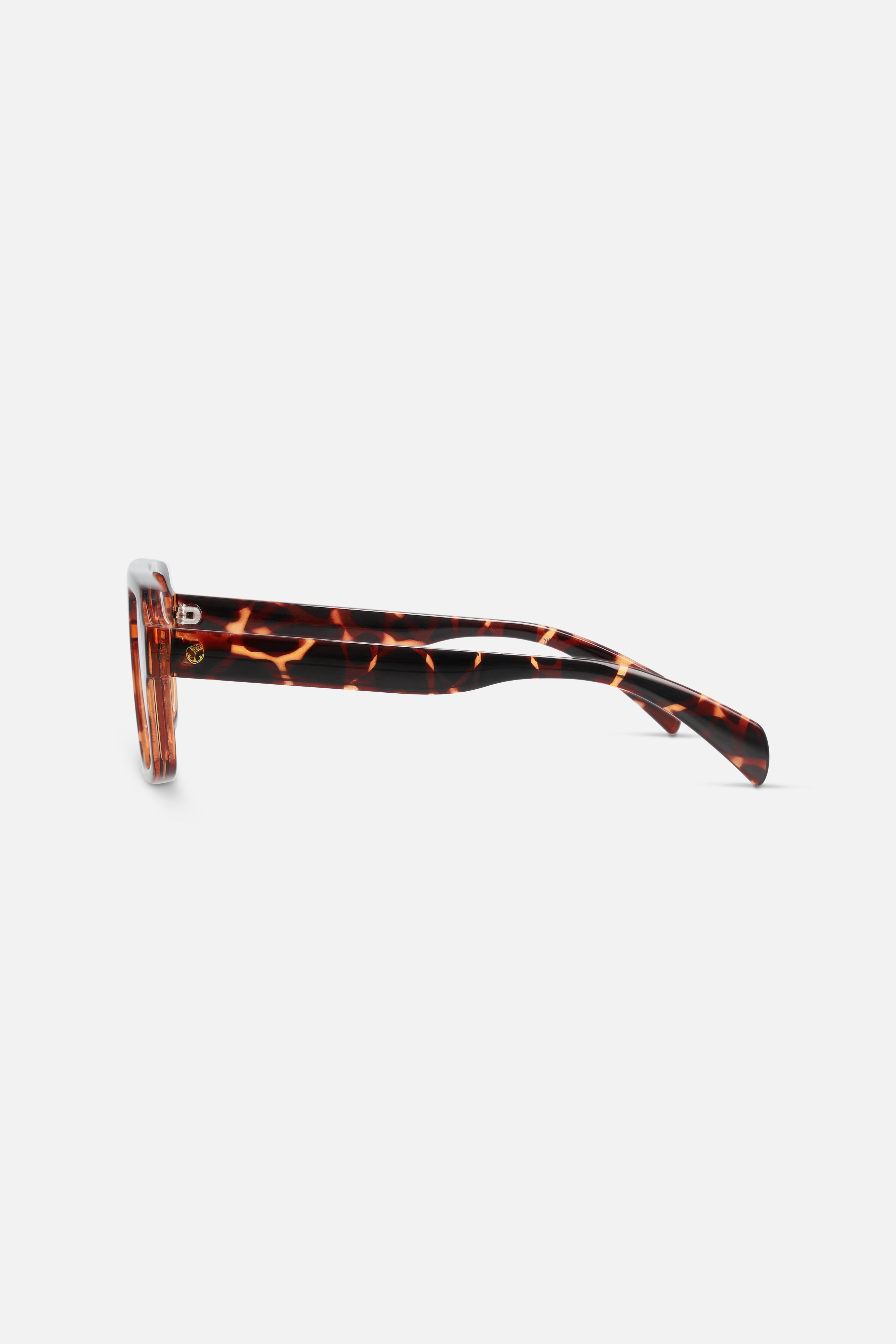 FALCON SUNGLASSES - 2