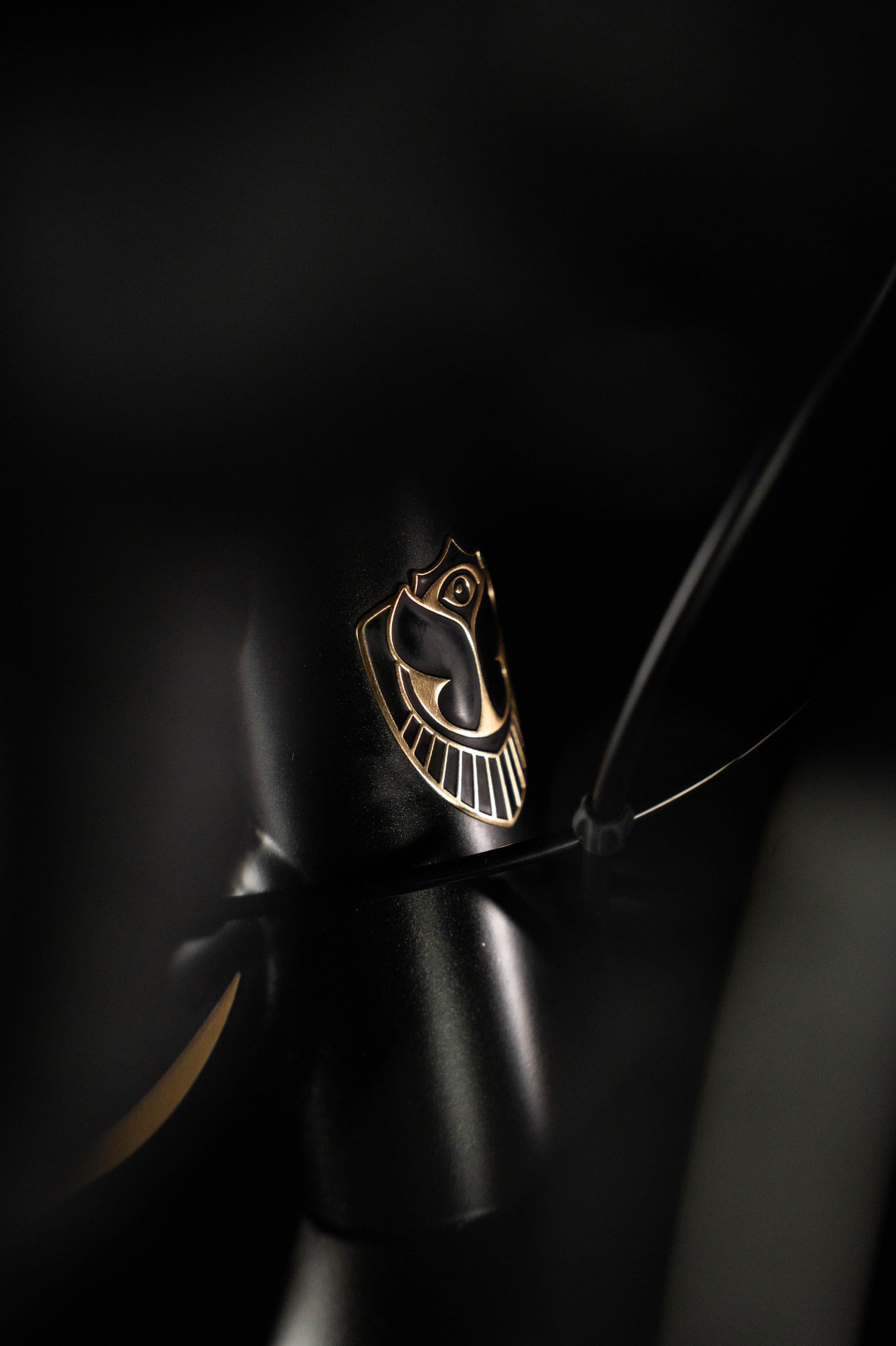 TML x RIDLEY INVENIO GRAVEL ALU - 3